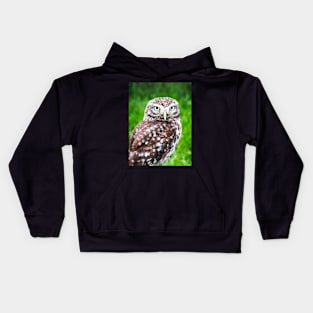 Pygmy Owl Kids Hoodie